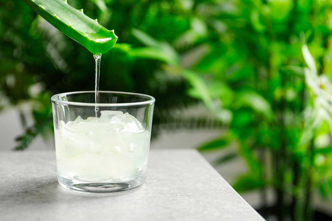 ¿Cómo quitar el dolor de barriga con aloe vera?