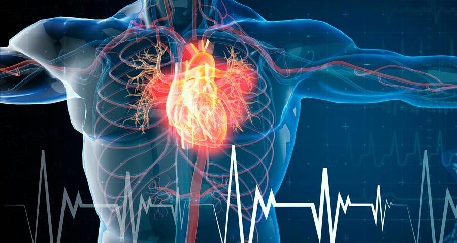 Cómo Mejorar la Salud Cardiovascular de Forma Natural